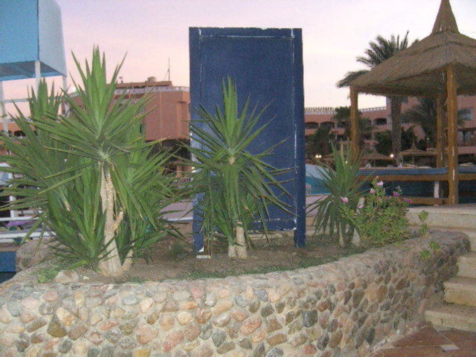 Pool Beach Albatros Resort