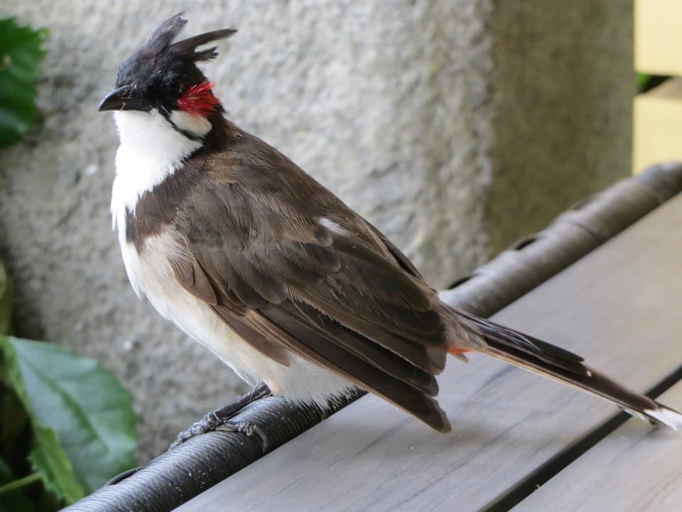 Hotel La Mariposa Hotel La Mariposa