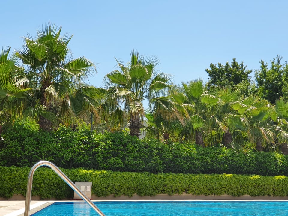 Pool Side Breeze Hotel