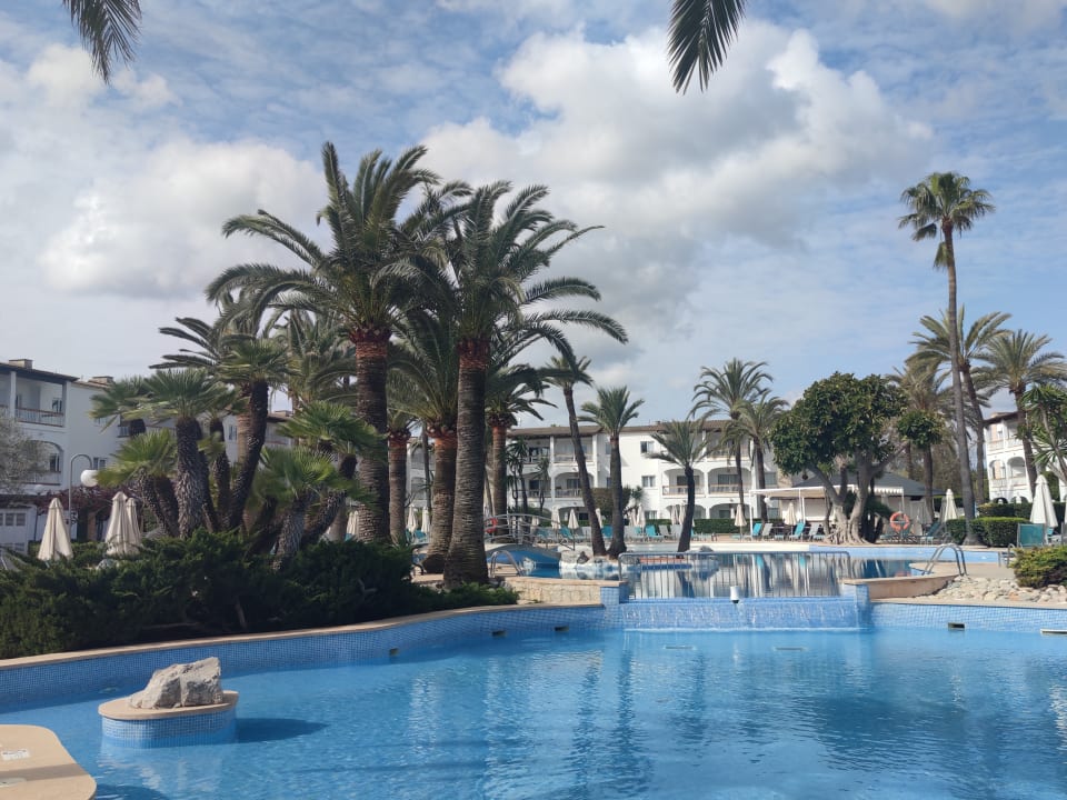 Pool Alcudia Garden Aparthotel
