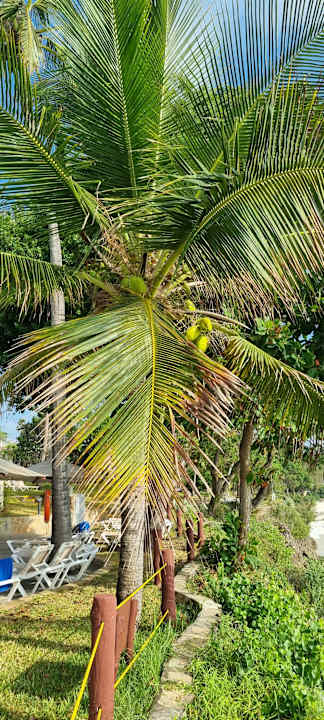 Pool Baobab Beach Resort & Spa