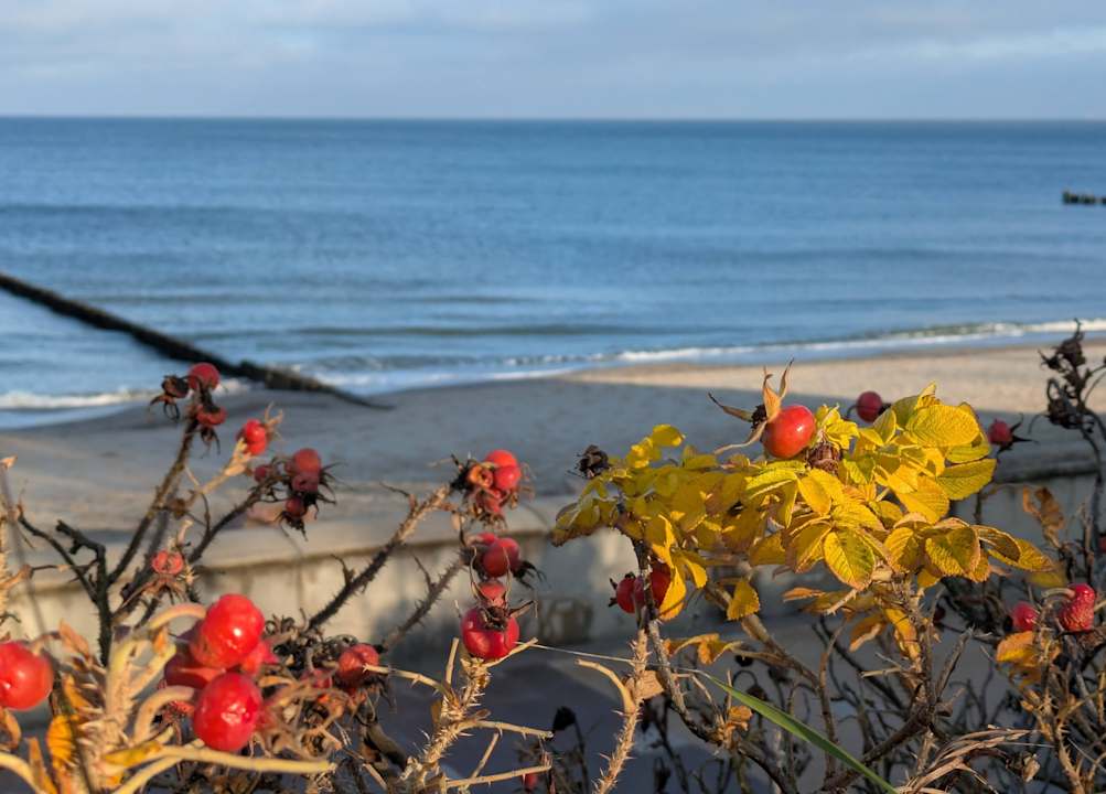 Strand Hotel Vier Jahreszeiten Kühlungsborn