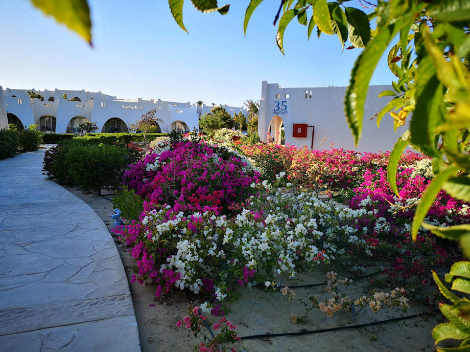 Gartenanlage Hilton Marsa Alam Nubian Resort
