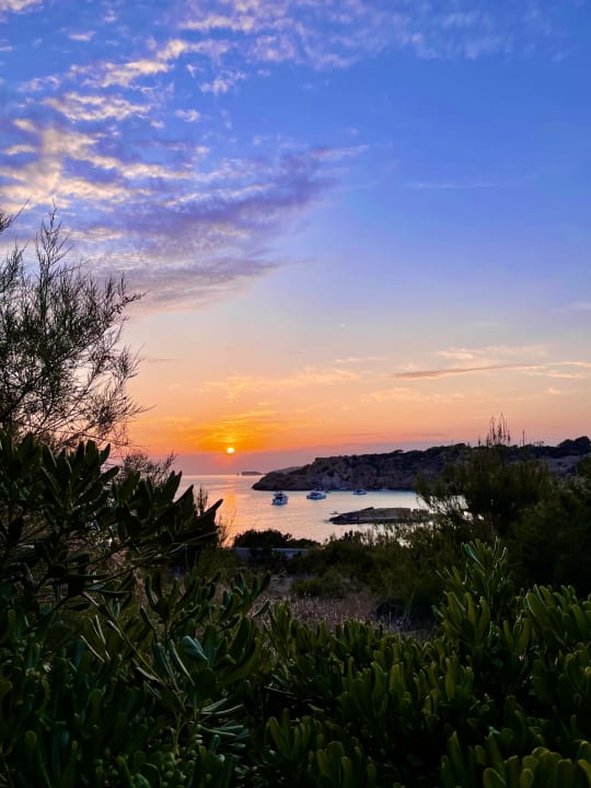 Ausblick Insotel Club Tarida Playa