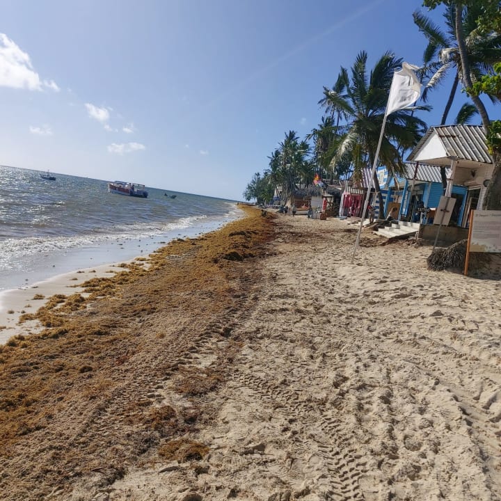 Strand TRS Turquesa Hotel - Adults only