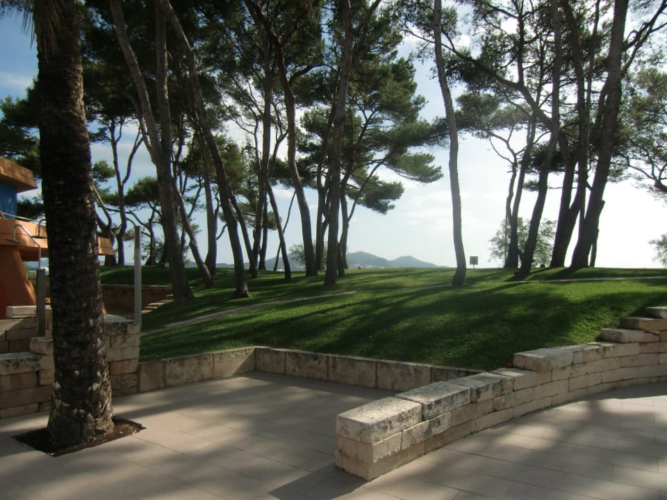 Blick zum Strand Iberostar Waves Playa de Muro