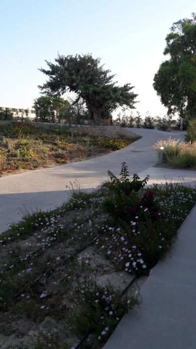Garten Gennadi Grand Resort