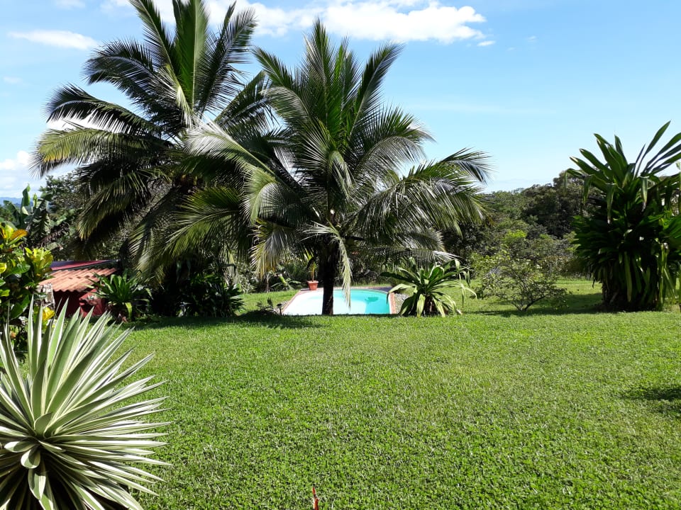 Gartenanlage Finca Buena Vista Las Lajas