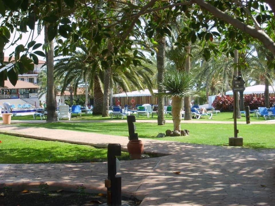 Gartenanlage Aldiana Club Fuerteventura