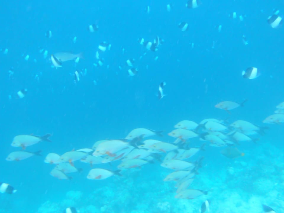 Sport & Freizeit Furaveri Maldives