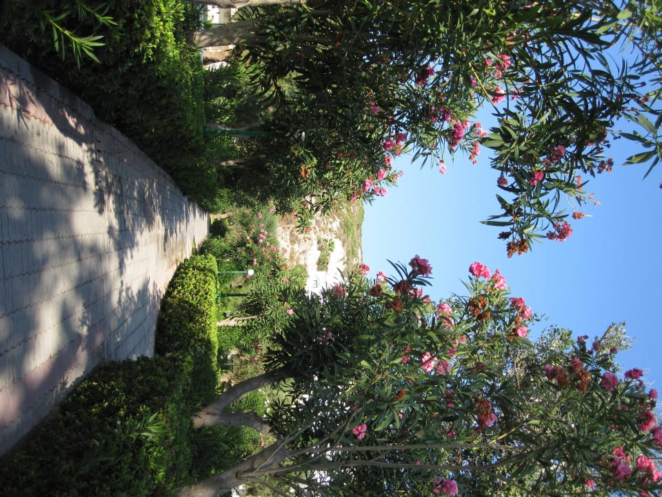 Sehr gepflegt Hotel Calypso Beach