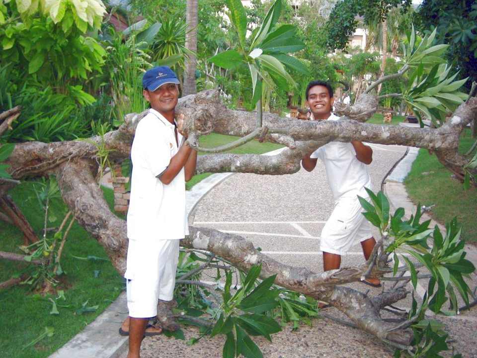 Wir waren es nicht! Hotel Lanta Sand Resort & Spa