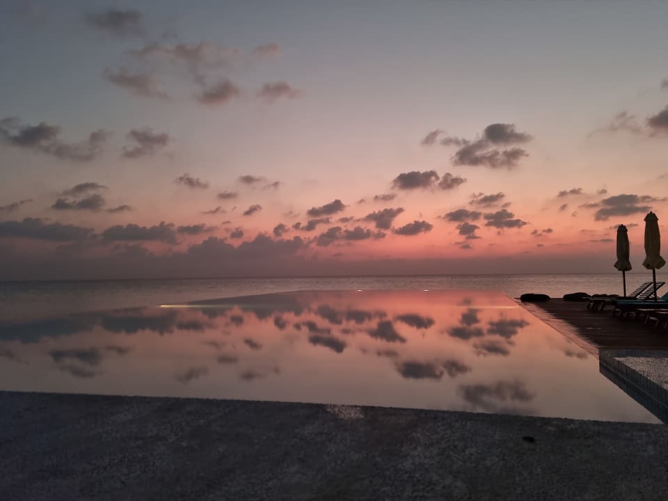 Pool Summer Island Maldives
