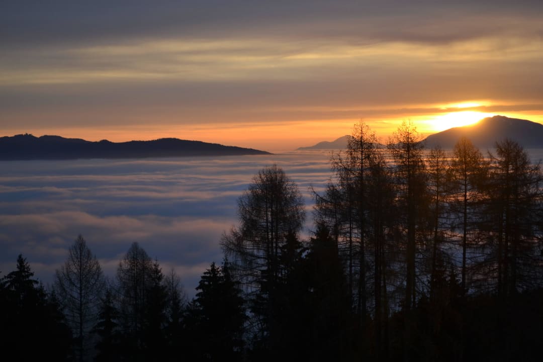 Blick auf das Nebelmeer im Tal Erlebnisbauernhof Steinerhof