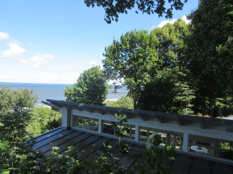 Ausblick Villa Hohe Buchen