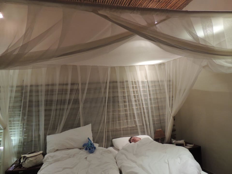 Bett mit Mosquitonetz Okaukuejo Camp
