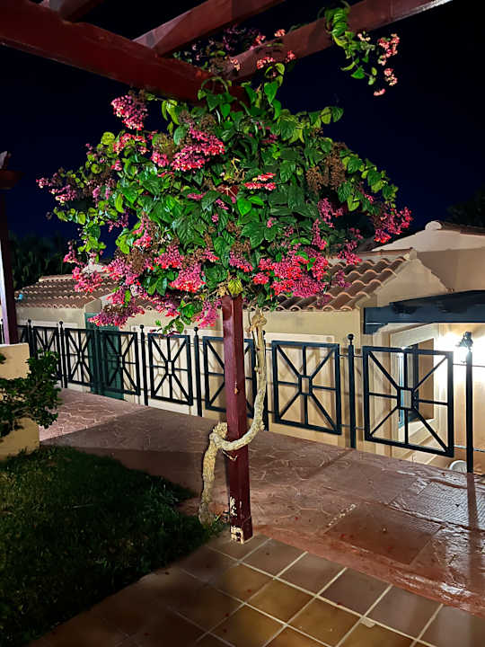 Gartenanlage allsun Hotel Esplendido
