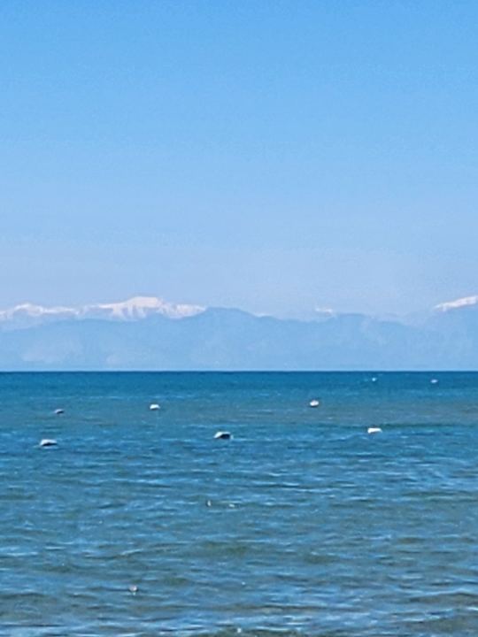 Sonstiges Alba Queen Hotel