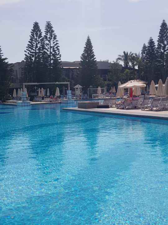 Pool Hotel Delphin Diva