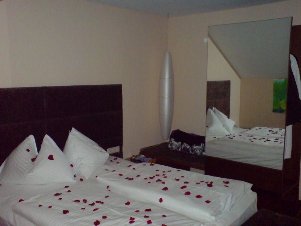 Zimmer Traube Hotel Albizia