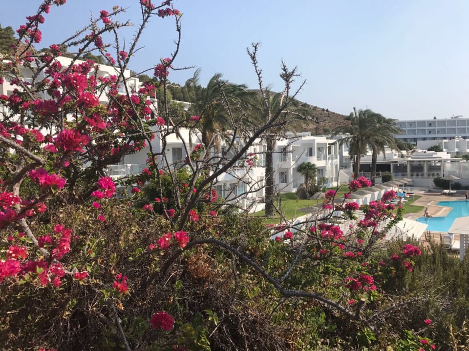 Außenansicht Dimitra Beach Hotel & Suites