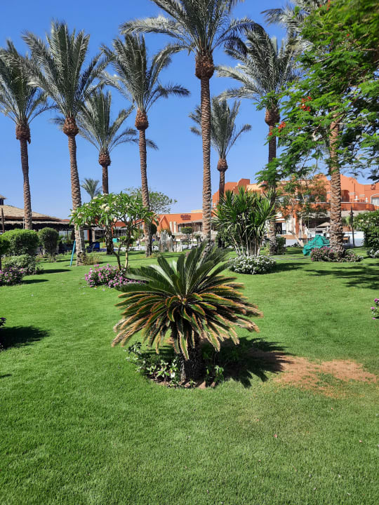 Gartenanlage Sentido Caribbean World Soma Bay