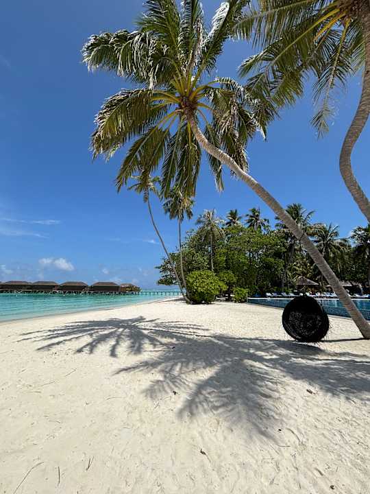 Strand Meeru Maldives Resort Island