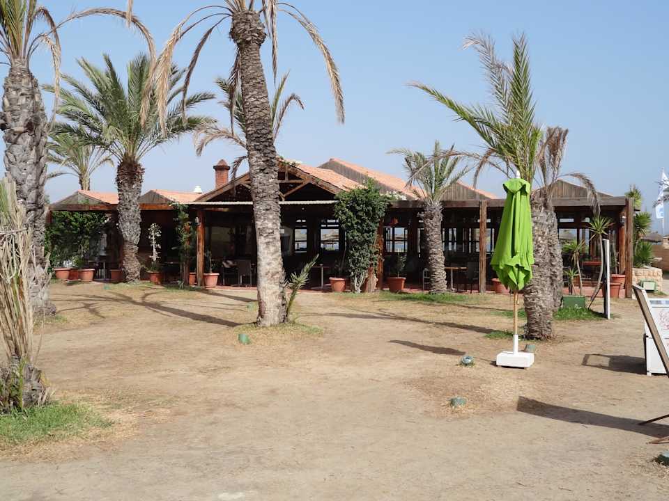 Bar Hotel Rosa Beach