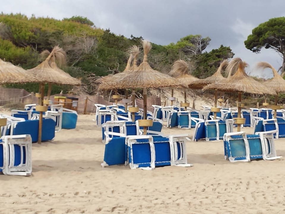 Liegen und Schirme zum Ausleihen Hotel Bella Mar