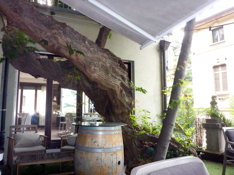 Sonstiges Hotel Firenze Lugano