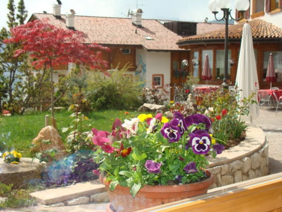 Fiori  e parte del giardino Hotel Belsoggiorno