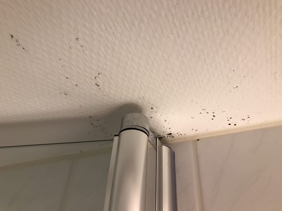 Zimmer Holiday Inn Express Frankfurt - Airport