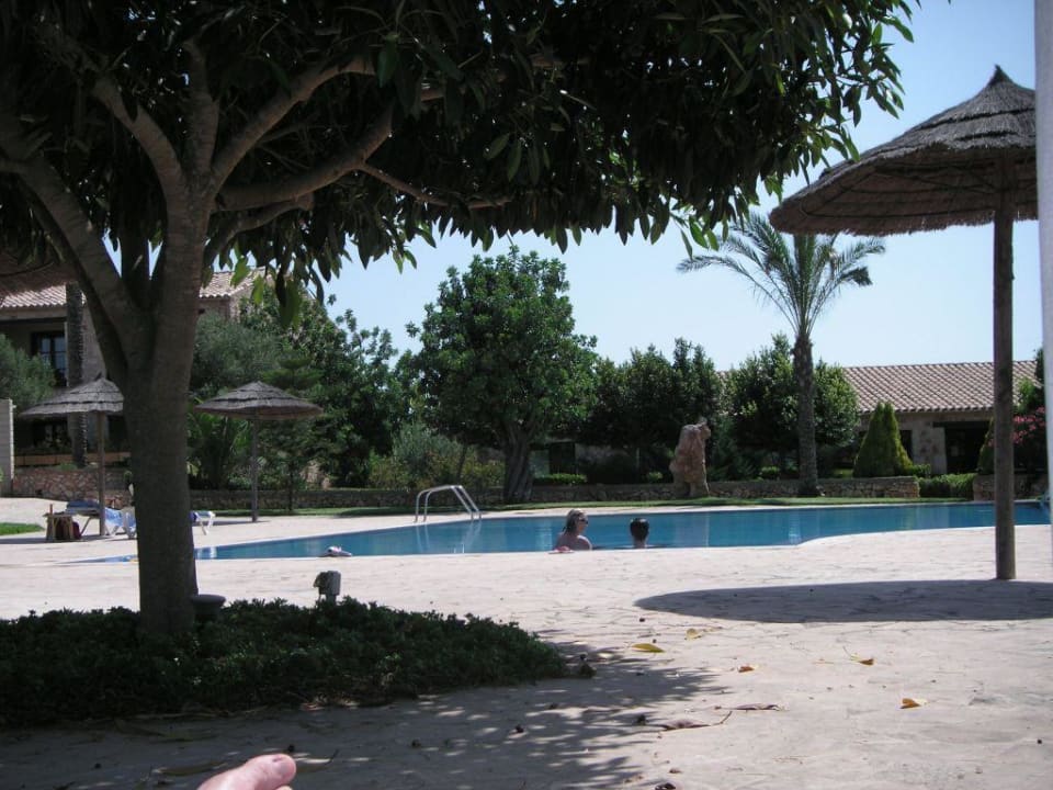 Am Pool Hotel Son Trobat Wellness & Spa