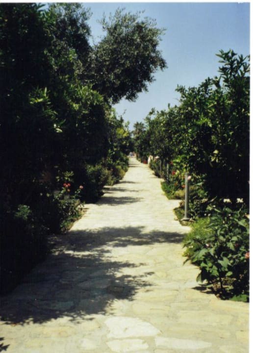 Weg zum Strand Özlem Garden Hotel