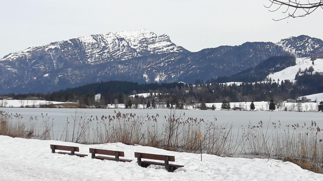 Ausblick Hotel Bellevue am See