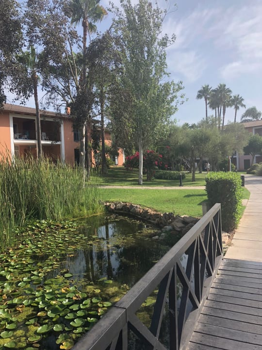 Gartenanlage Blau Colònia Sant Jordi
