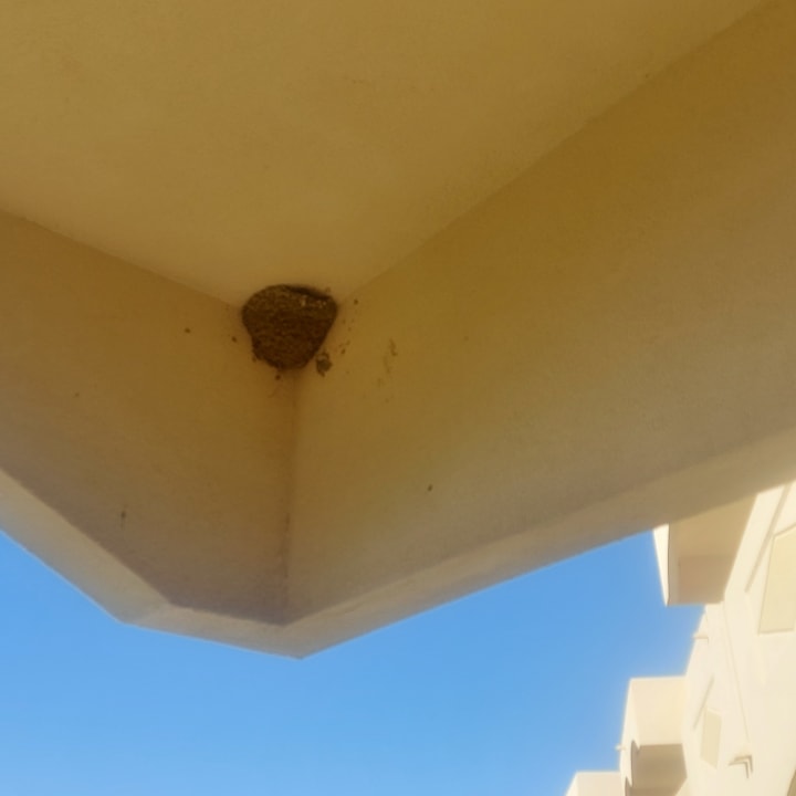 Zimmer Hotel Kalithea Horizon Royal