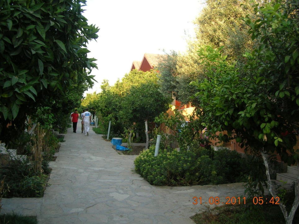 Der Weg Özlem Garden Hotel