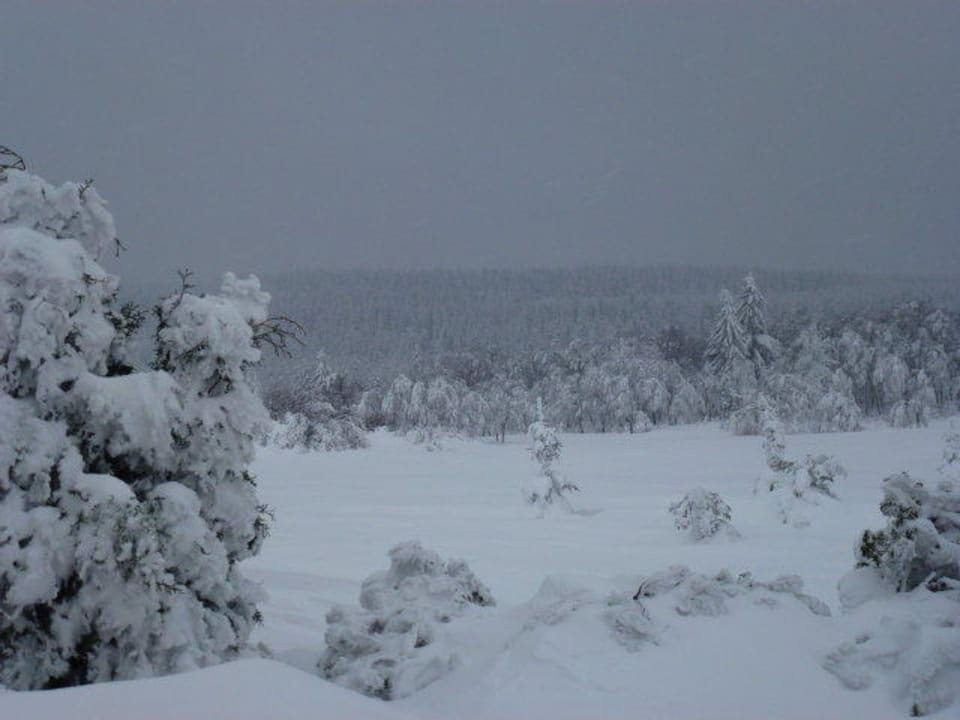 Wunderschön verschneit Hotel Lugsteinhof
