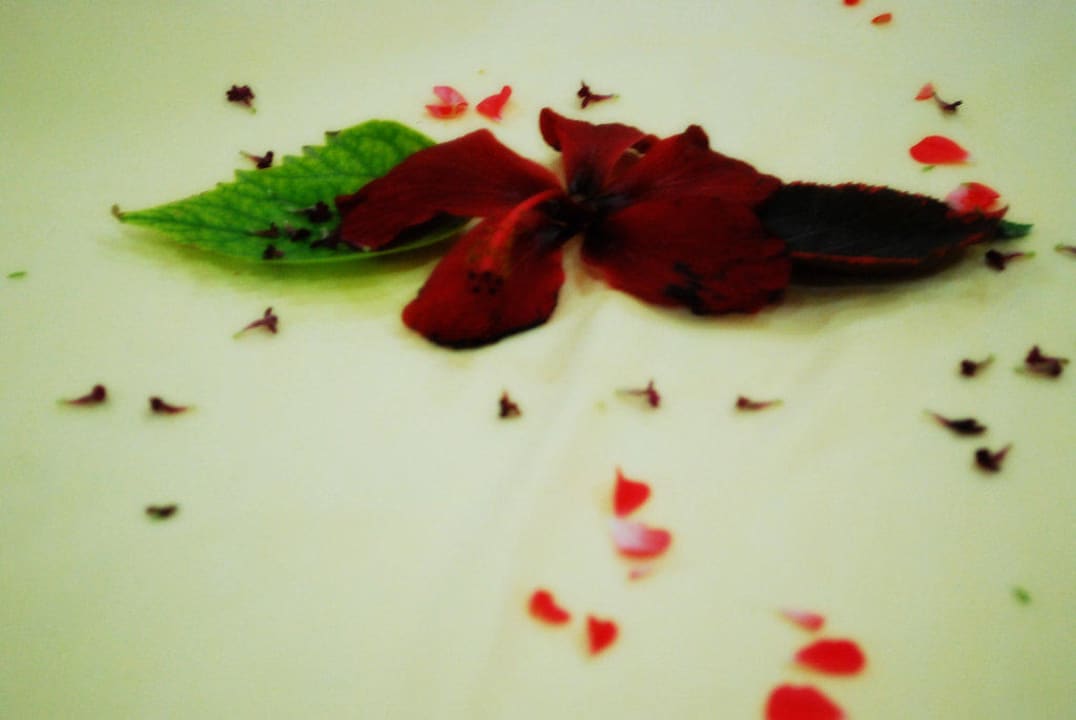 Schöne Tischdeko El Mouradi Club Kantaoui