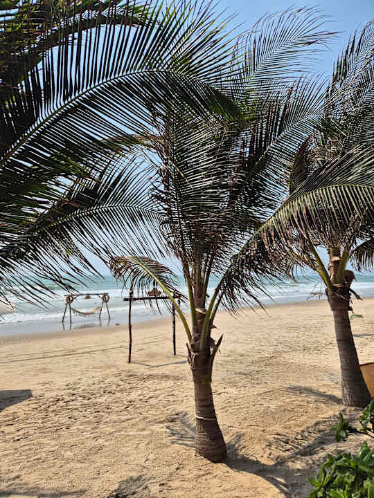 Strand Pandanus Resort