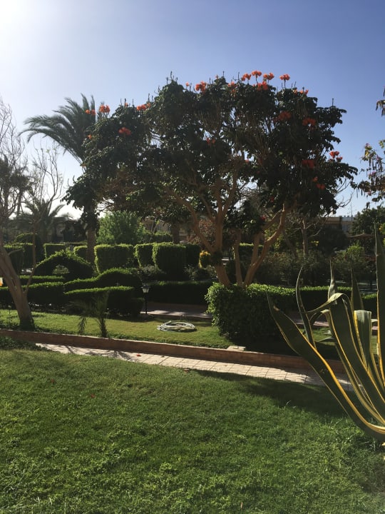 Gartenanlage Golden Beach Resort