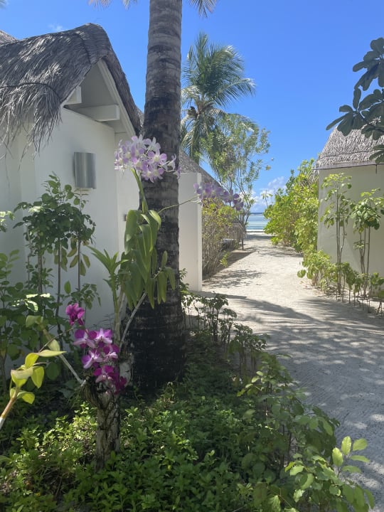 Gartenanlage LUX South Ari Atoll