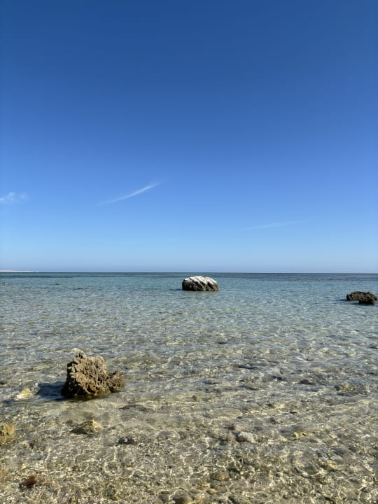 Sonstiges Jaz Bluemarine