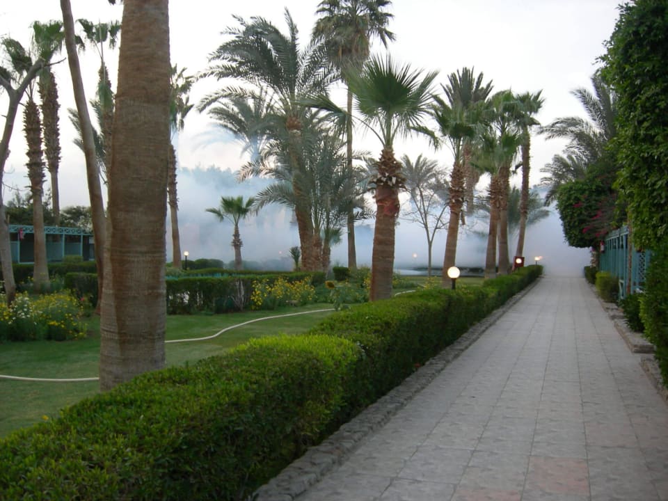 Vernebelt durch Versprühung Giftun Azur Resort