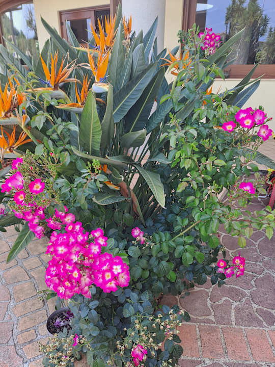 Gartenanlage Hotel Residence Santa Chiara