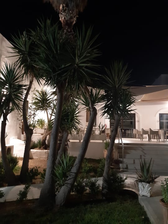 Gartenanlage Summer Village of Hippokrates - Adults only