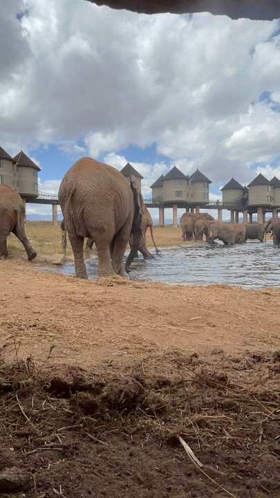 Außenansicht Salt Lick Safari Lodge