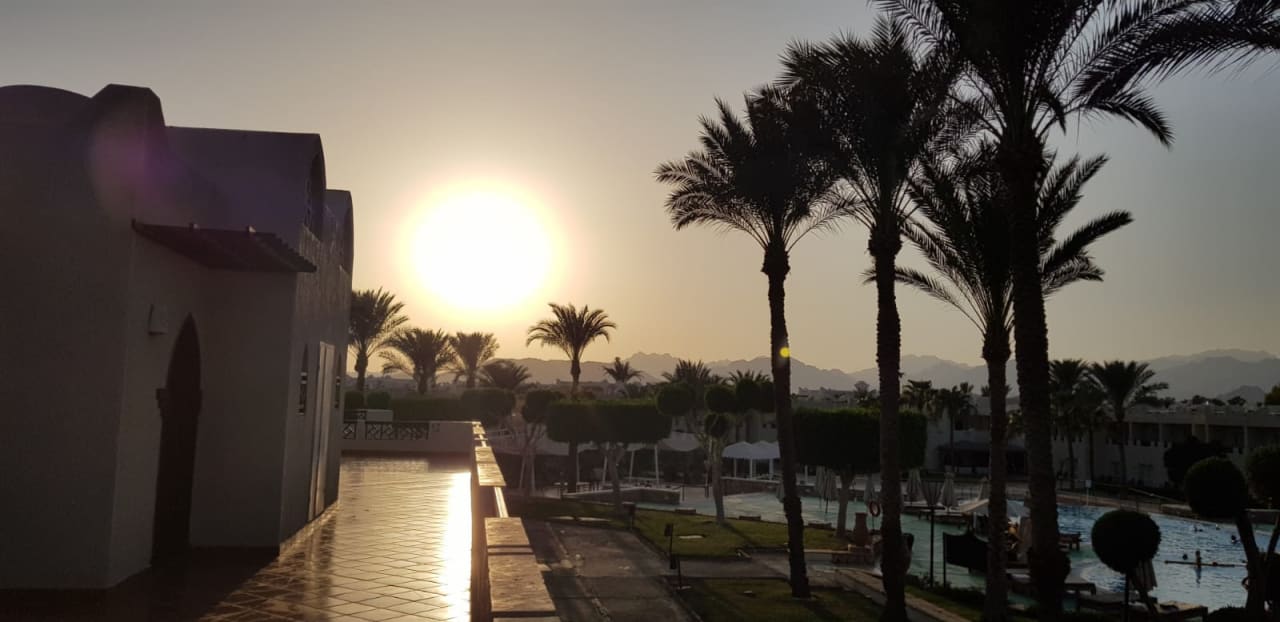 Zimmer Reef Oasis Beach Resort