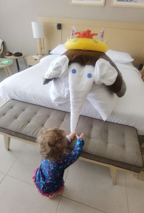 Zimmer JAZ Elite Amara